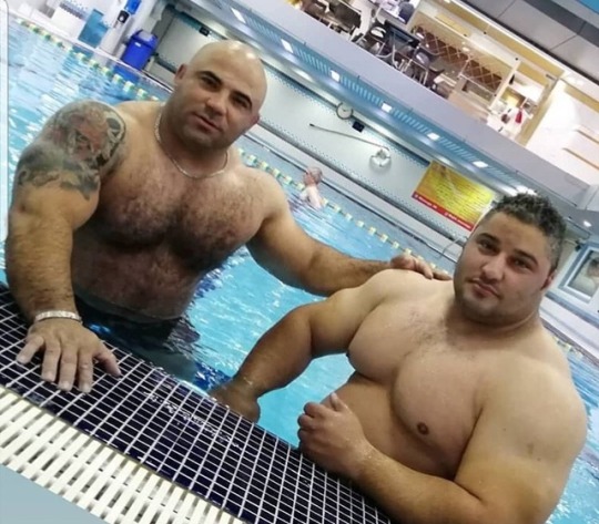 beefadmirer: 