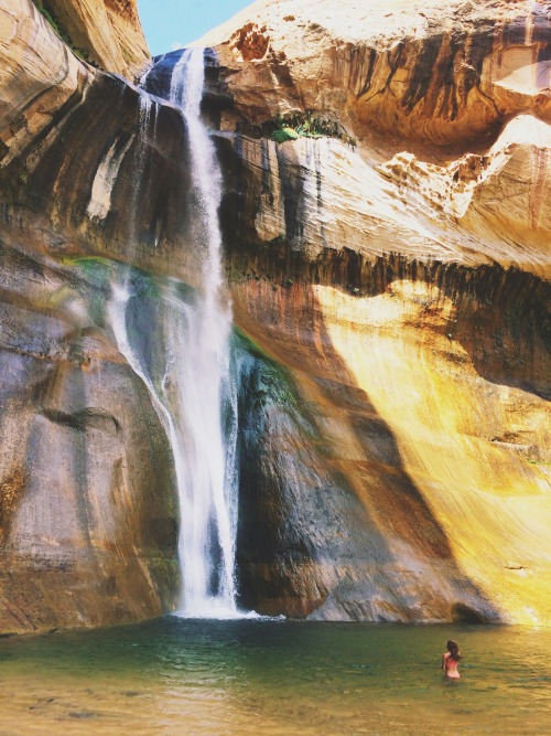 lasplayaslasmontanas:  Utah continually outdoes itself. Marinating in the waters of Lower Calf Creek Falls.  