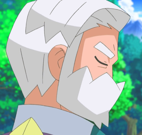 multiscales:  Opelucid Gym Leader and Dragon Master, Drayden 