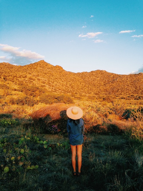 danielodowd:  http://shawnax.vsco.co/