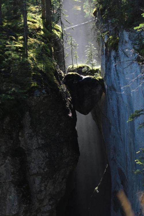 rediscoveringearth: Jasper National Park, Canada More of our amazing world