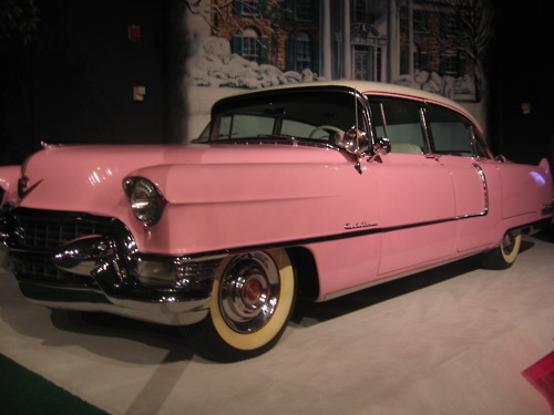 This car is the most beautiful thing I have ever seen!