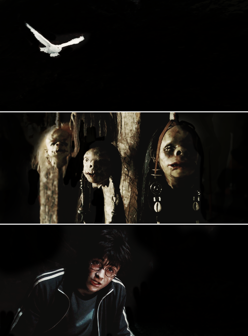 knockturnallley:Our pain becomes their power.