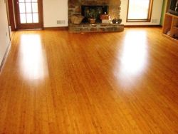 sweetestesthome:  Beautiful bamboo flooring