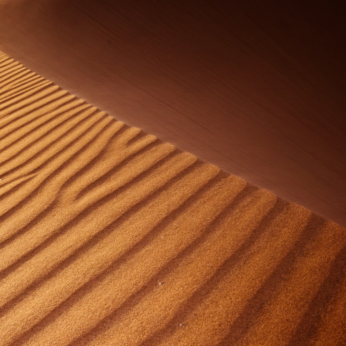 cinemagorgeous:  From Dunescape by photographer Shawn van Eeden.