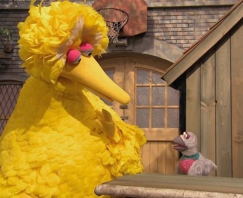 achangingaltar:livefromnewyorkitsweston:I’ve been on Tumblr for about a year now and I’m surprised I haven’t seen anything regarding Sesame Street. So, I figured I would shed a little light on it for all of you.I watched this show religiously as