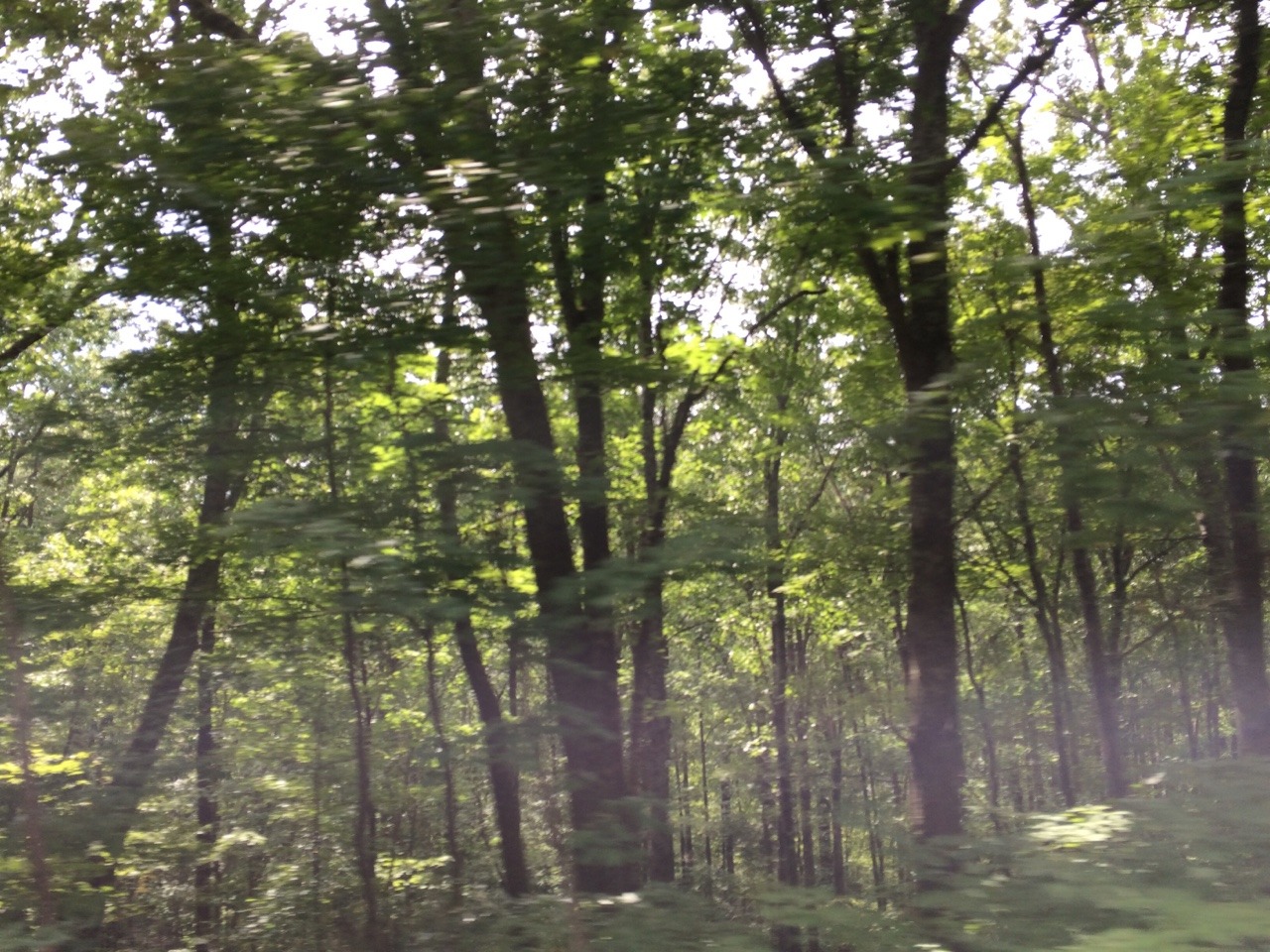 littleplantgirl:  we went on a field trip 
