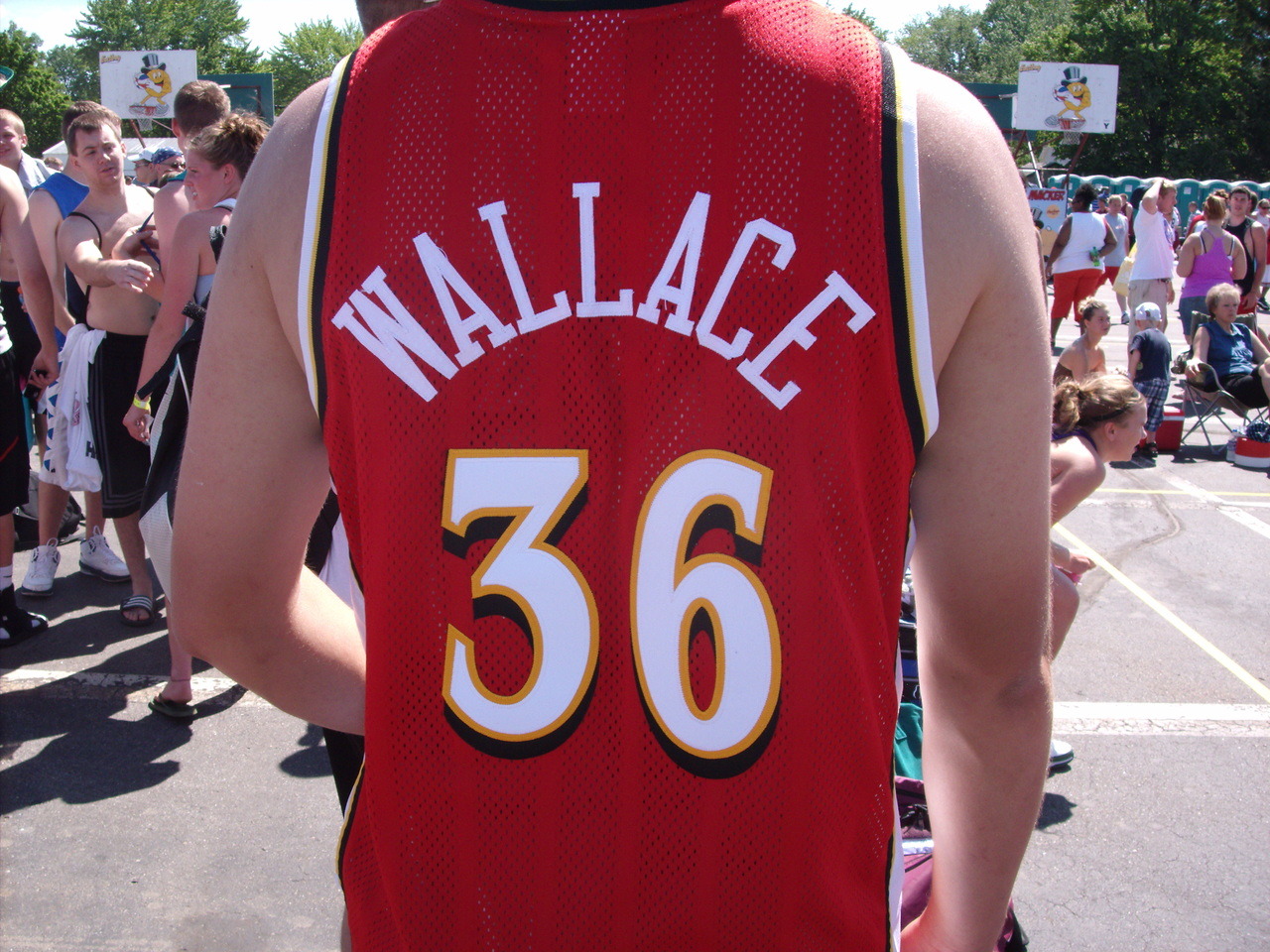 rasheed wallace atlanta hawks jersey