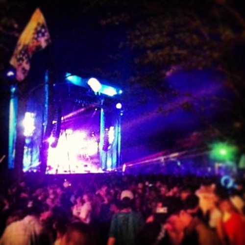 It’s Electric! (at Electric Forest Rothbury 2013)