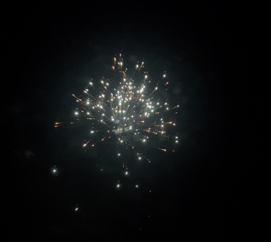 firework on Tumblr