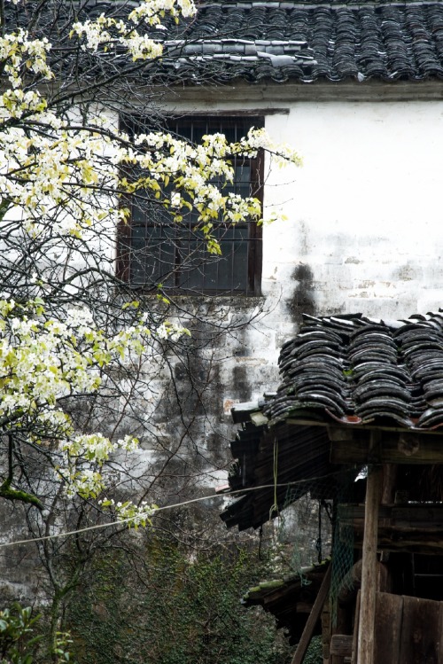 fuckyeahchinesegarden:婺源wuyuan, anhui province by 遗产君