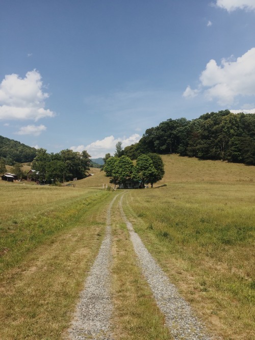 blue ridge mountains