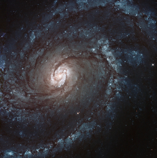 Messier 100 Galaxy byJudy Schmidt