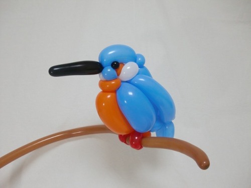 isopresso:  カワセミkingfisher2016.7.24