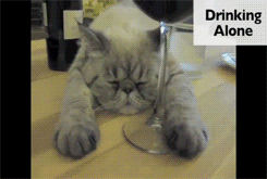 pikman:  pleatedjeans:  Single cats on Valentines Day [watch the video]  The hiding