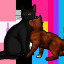 sage-warrior-cats