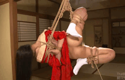 japanesebdsmofficial:  TAD-007Bermuda AVKinbaku Naka Akira Model Hana KanoSubmitted by @squirmforgood​ &amp; @bondage-gifs​  