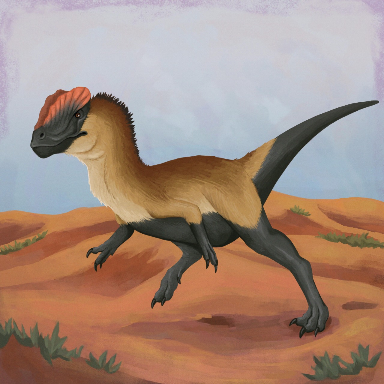feathered dilophosaurus