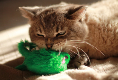 (via whithered_perception)