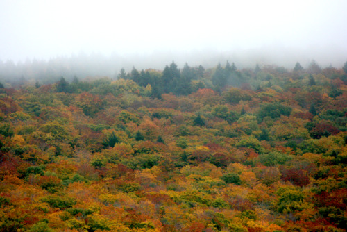 twilightsolo-photography: Cloudy MountainsidePart of the White Mountains in Lincoln, NH. ©twilightso