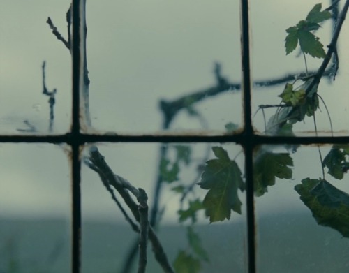 ozu-teapot: Wuthering Heights | Andrea Arnold | 2011 Solomon Glave, Shannon Beer