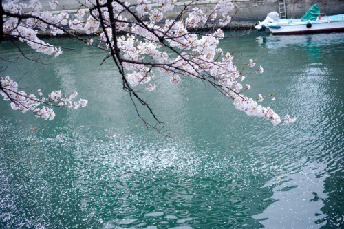 japan-overload:  by  kugi kugi