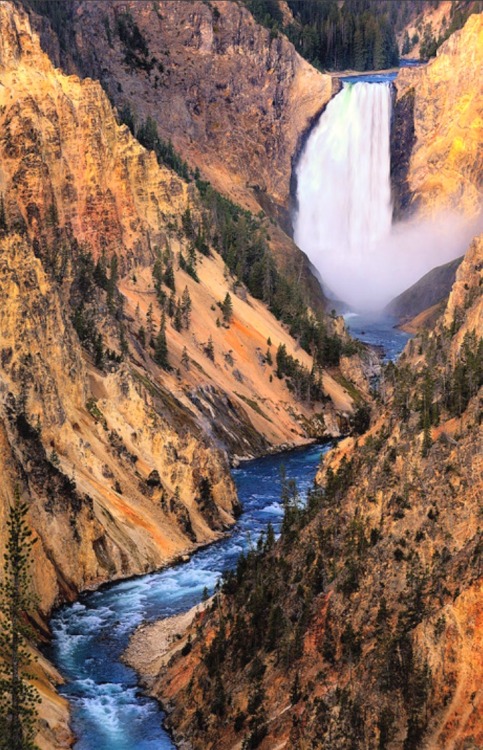 morayelephant:  ‘Yellowstone Falls’ by Steve Perry via Backcountry Gallery