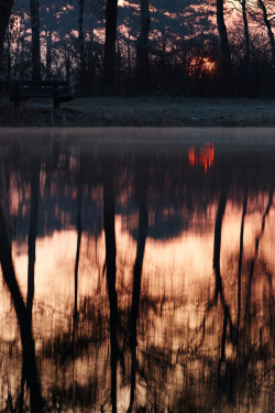 Ponderation:  The Sun Crawls Over The Horizon By Jan Kooreman