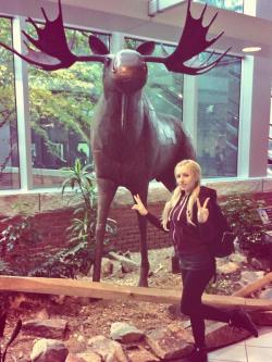 Arrived In Nh And Was Greeted By My Favorite Animal. Come Check Me Out Tonight And