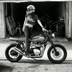 scrambler081:    Triumph Bonneville  
