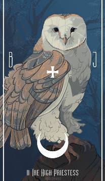 The Priestess card in Birds Tarot by Fiona Marchbank