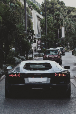 envyavenue:  Bull let loose in Monaco.