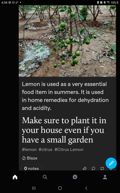 I Make ONE Post About Lemons And