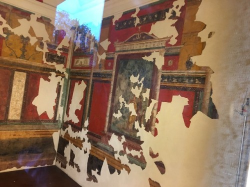 clodiuspulcher:Pictures from the House of Livia and House of Augustus: first four are frescoes from 