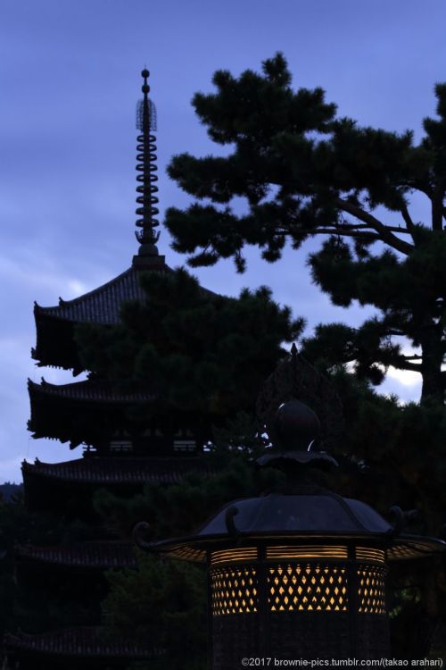 ‘21.11.23 興福寺にて夜明け前の興福寺。6時になると南円堂横の鐘が突かれます。静寂を破るその音を合図に、暗い空が少しずつ明るみを帯びてくるようでした。