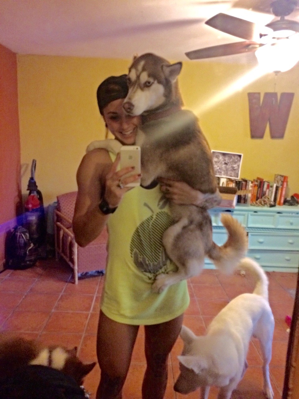 liftlikebrittany:  leahpwest:  the real reason I lift weights  Omg