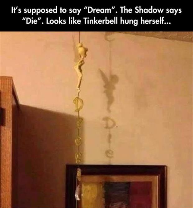 Jackass of all Trades