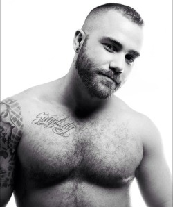 scootersguf:  bottombearcub:  Just damn!      (via TumbleOn)