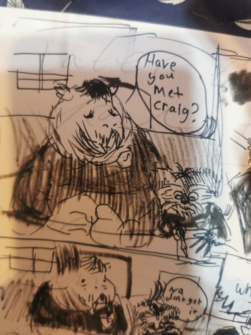 Have Art Of A Fionncrat (a Bunny Cat Like Creature) In There School Based In Baistcorr (a Small Town