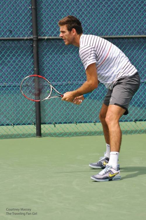 Juan Martin Delpotro. Cincinnati 2013. [more]