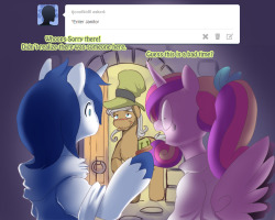 Highschool-Cadance:  Last Of Side-Story On Hearts And Hooves Day What Happen In Previous