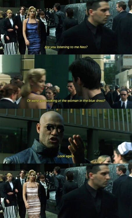 memeguy-com:  Are you listening to me Neo Or were you looking at the woman in the blue dress