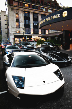 italian-luxury:  Lamborghini Murcielago |