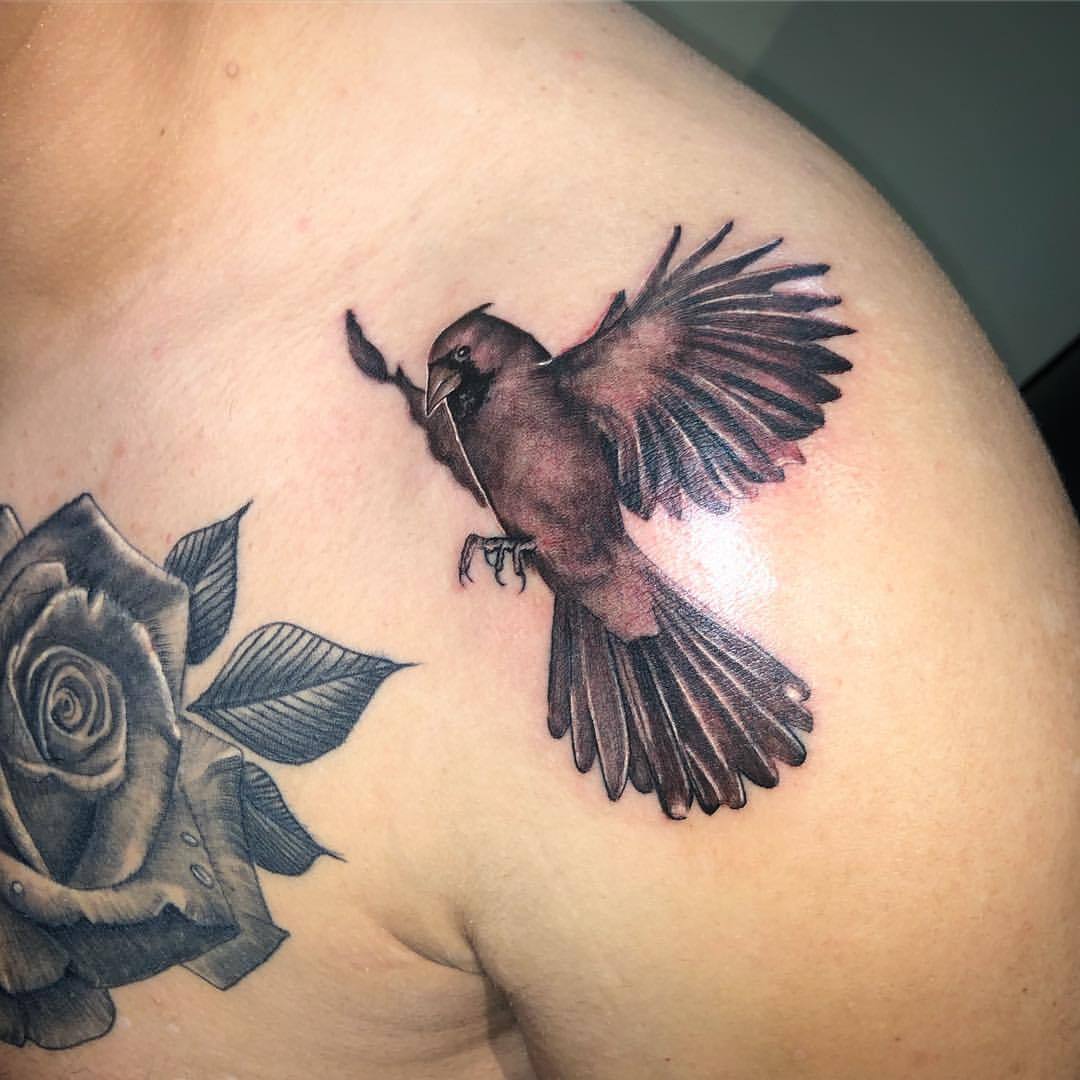 The Northern Cardinal Tattoo Company  Wakefield