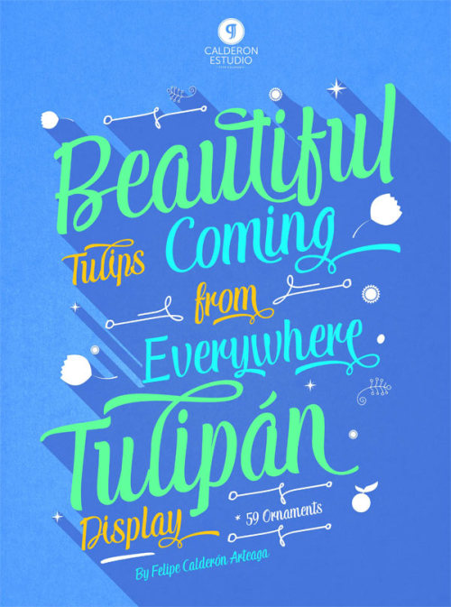 Tulipán - Script Font Calderón Estudio Type Foundry has recently published this lovely script typeface called “Tulipán”.
Buy the Tulipán typeface on MyFonts.com
More of the Tulipán – script font on WE AND THE COLOR
Follow WATC...