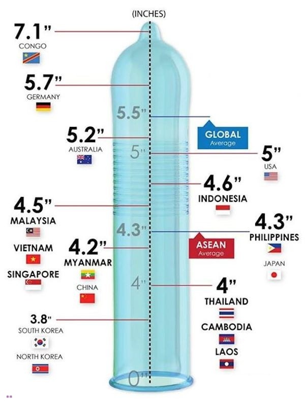 Average 6 inch penis