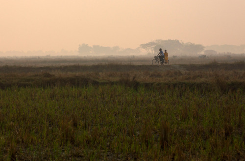 letswakeupworld:A man and woman ride a bicycle on a road through rice fields at dawn in Dala, Myanma