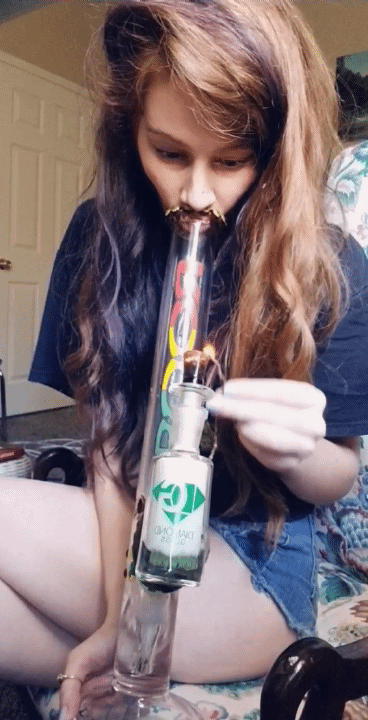 drugssexandhairlesscats: Summer saturday afternoon Roor rips💨