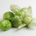 tomatillos avatar