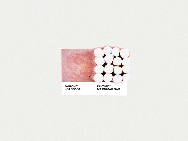  Hot Cocoa &amp; Marshmallows 